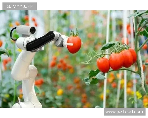 重磅专题探讨JDG控制革新如何引领行业变革与未来发展